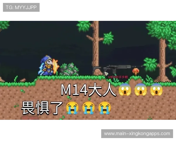 泰拉：我们之前没让对手畏惧，现在这种情况会改变，泰拉wink