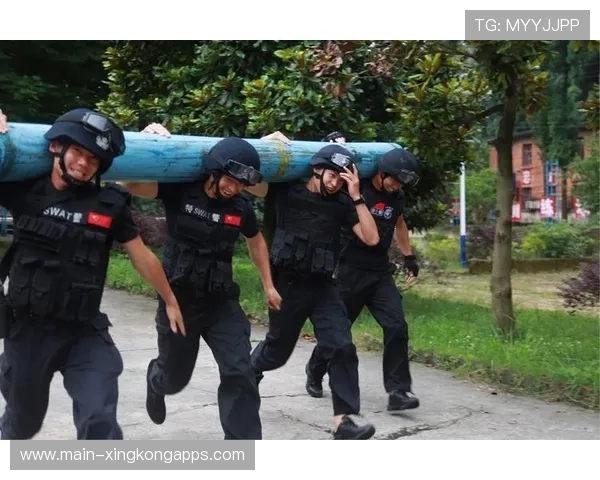 球队内部战术会议独家披露，球赛战术分析